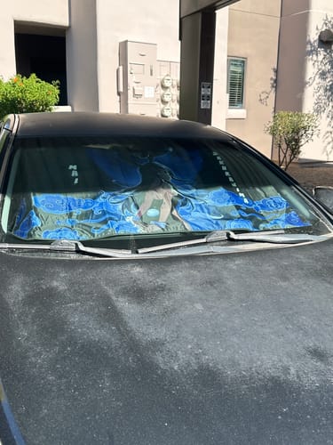 Customer photo review of Sexy Mai Sakurajima Car Sunshade Custom Bunny Girl Senpai Car Accessories