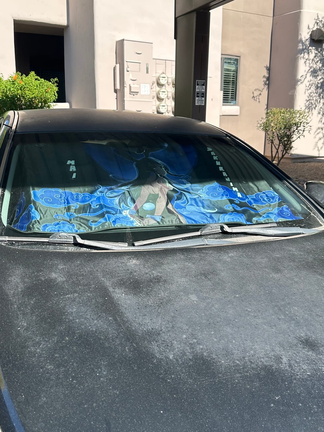 Customer photo review of Sexy Mai Sakurajima Car Sunshade Custom Bunny Girl Senpai Car Accessories