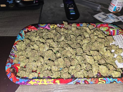 Customer photo review of Oreoz THCA Flower