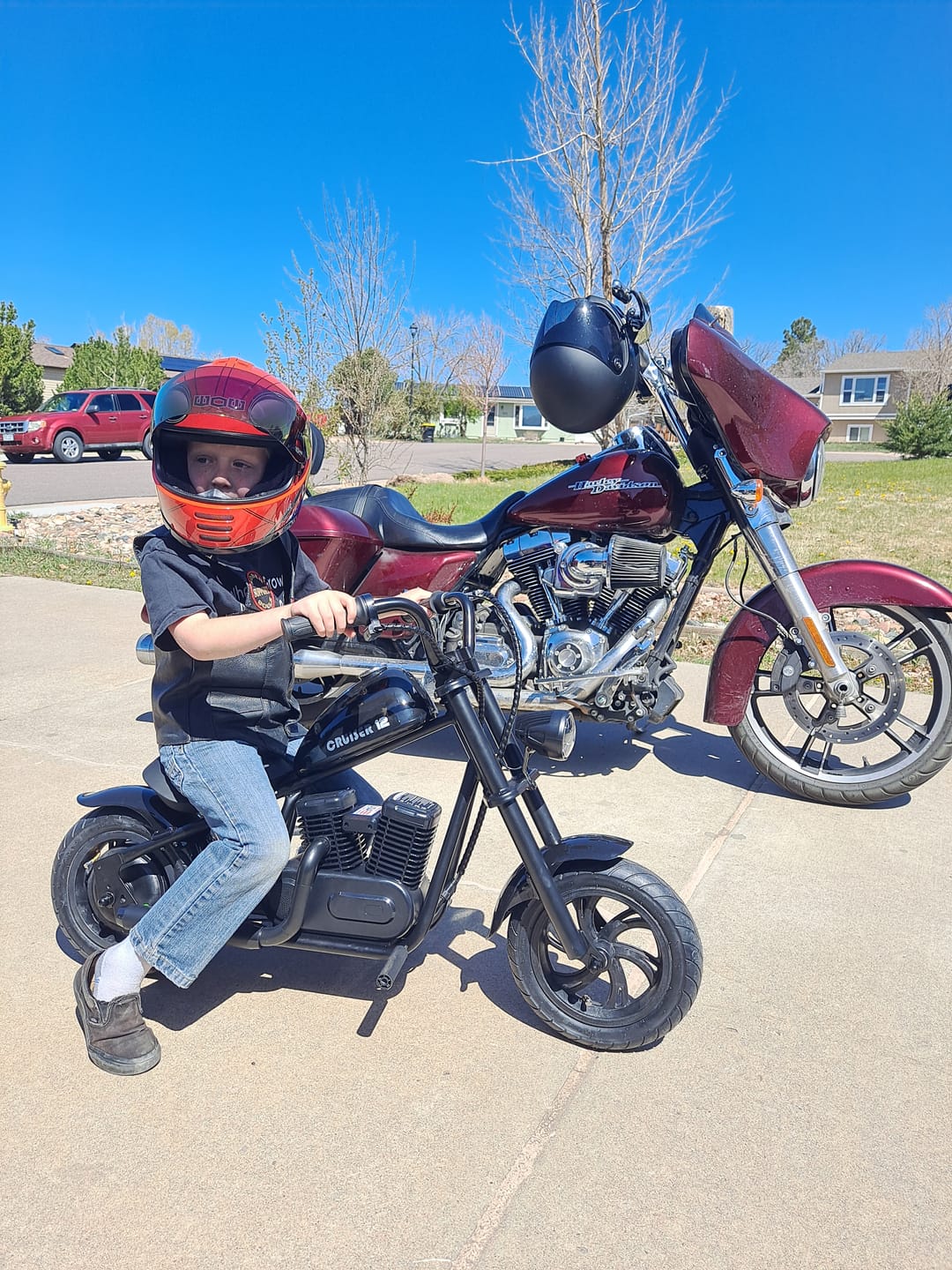 Customer photo review of Cruiser 12