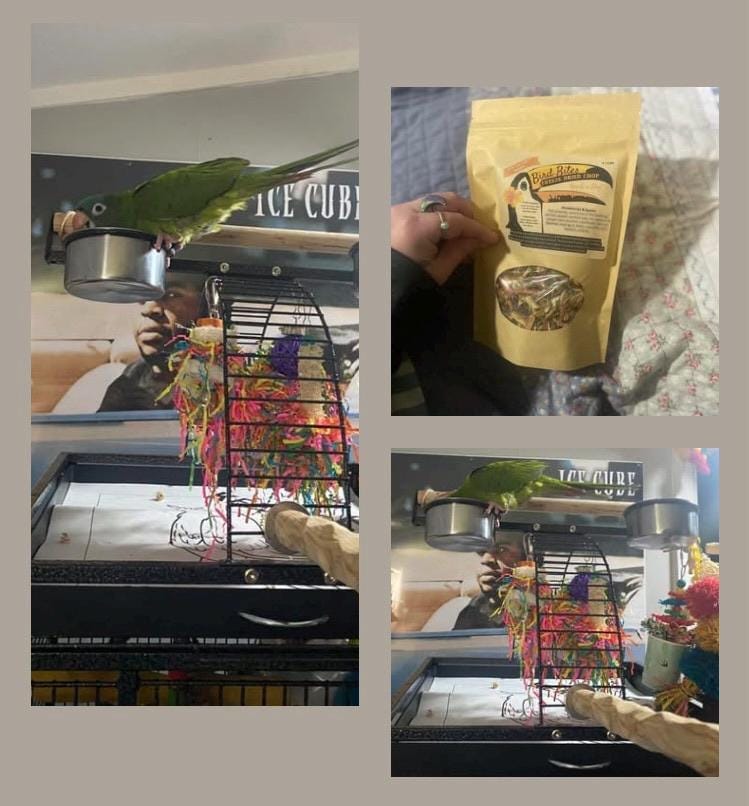Customer photo review of Bird Bites Freeze Dried Chop - Daily Fruits & Veggies, 4 Flavors to Choose From
