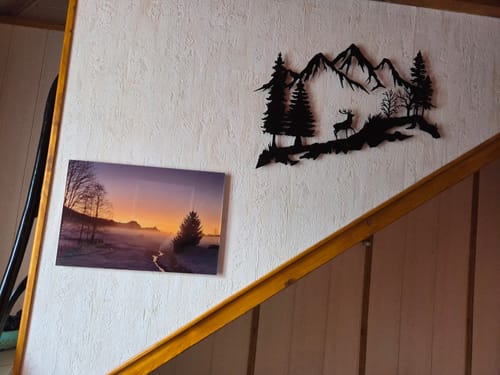 Customer photo review of Décoration Murale en Métal - Montagne et Cerf