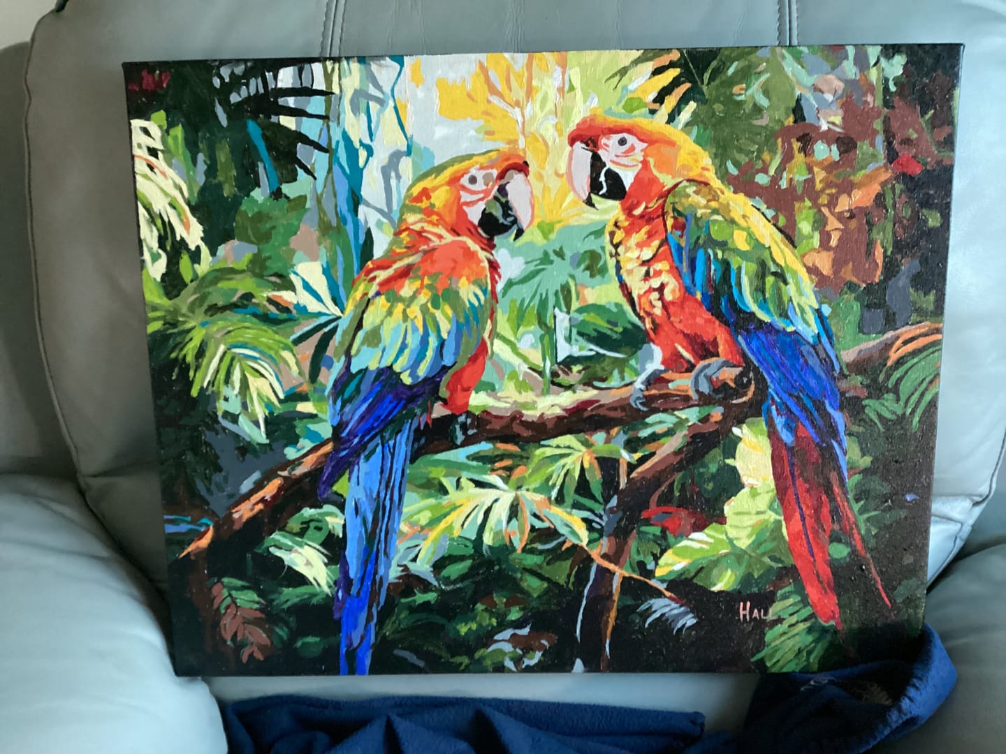 Customer photo review of Macaw Pair