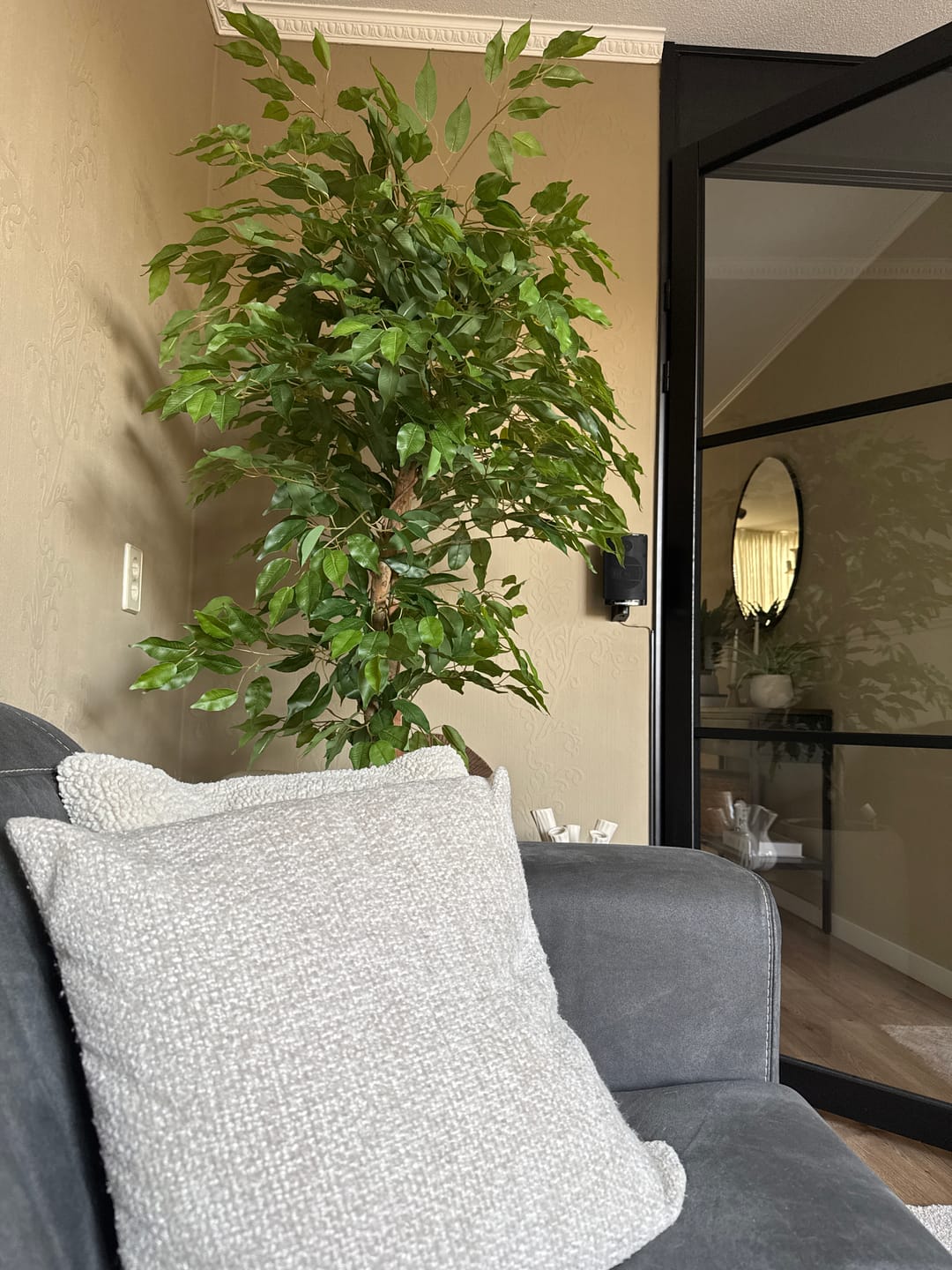 Customer photo review of Kunst Ficus 150cm