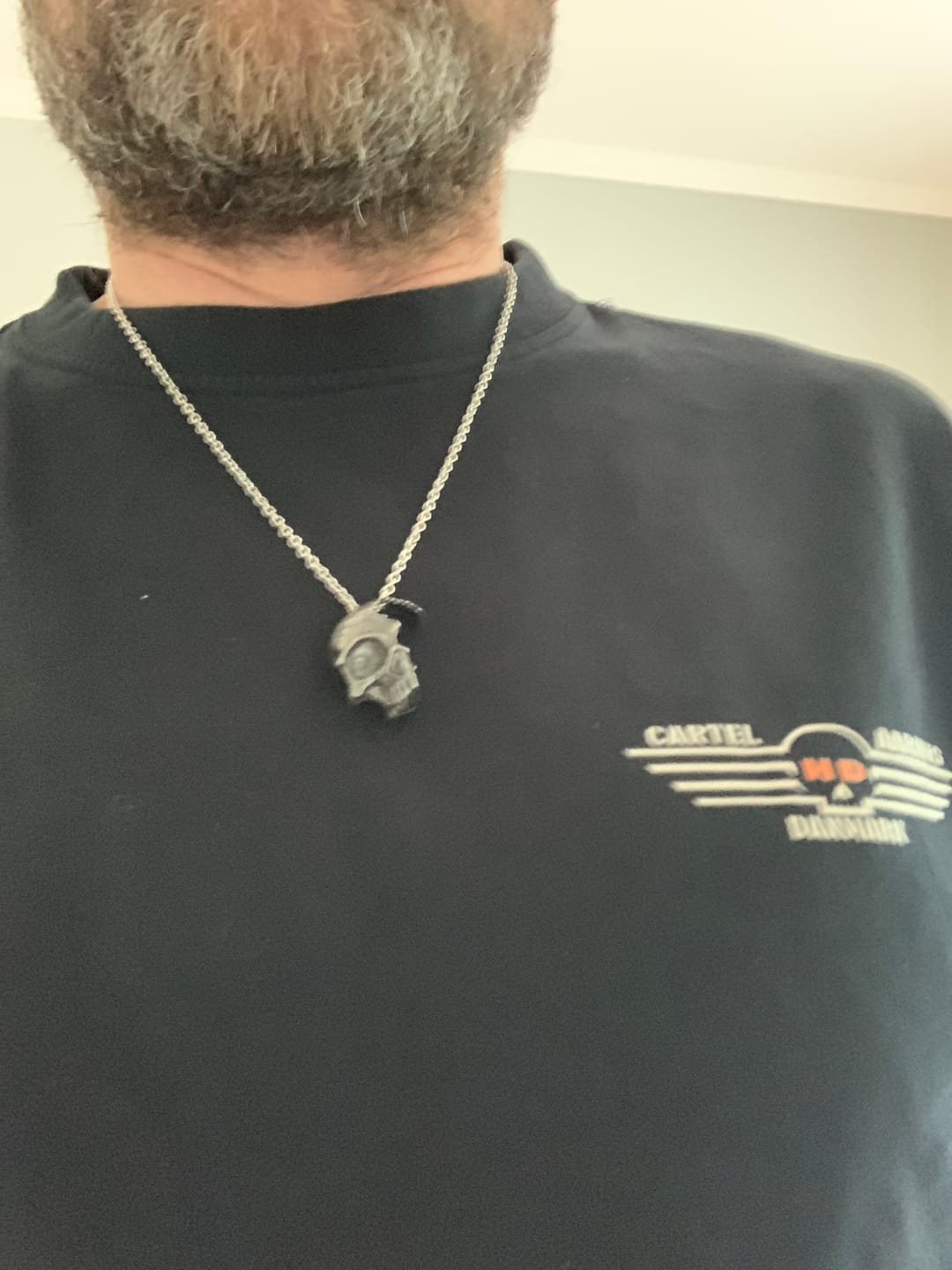 Customer photo review of BROKEN SKULL.