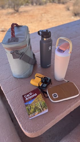 Customer photo review of Mylee Clutch Honey