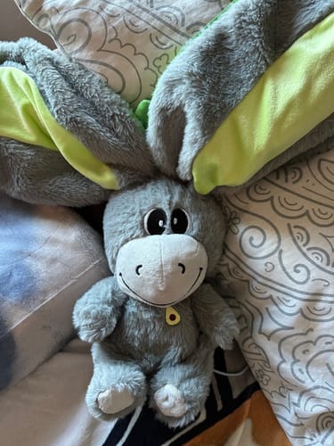 Customer photo review of Atmender Esel-Plüsch