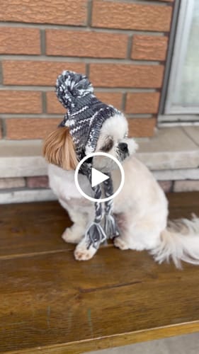 Customer video review of Knit Pom Pom Dog Beanie Hat - Salt and Pepper