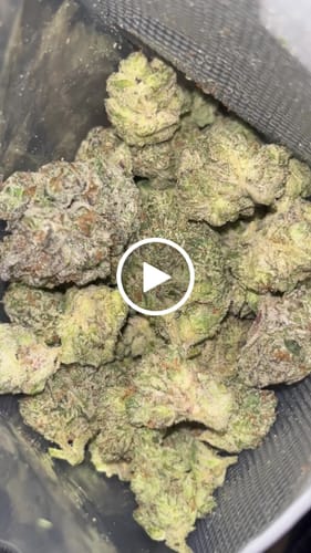 Customer video review of Platinum Lemon Gusher