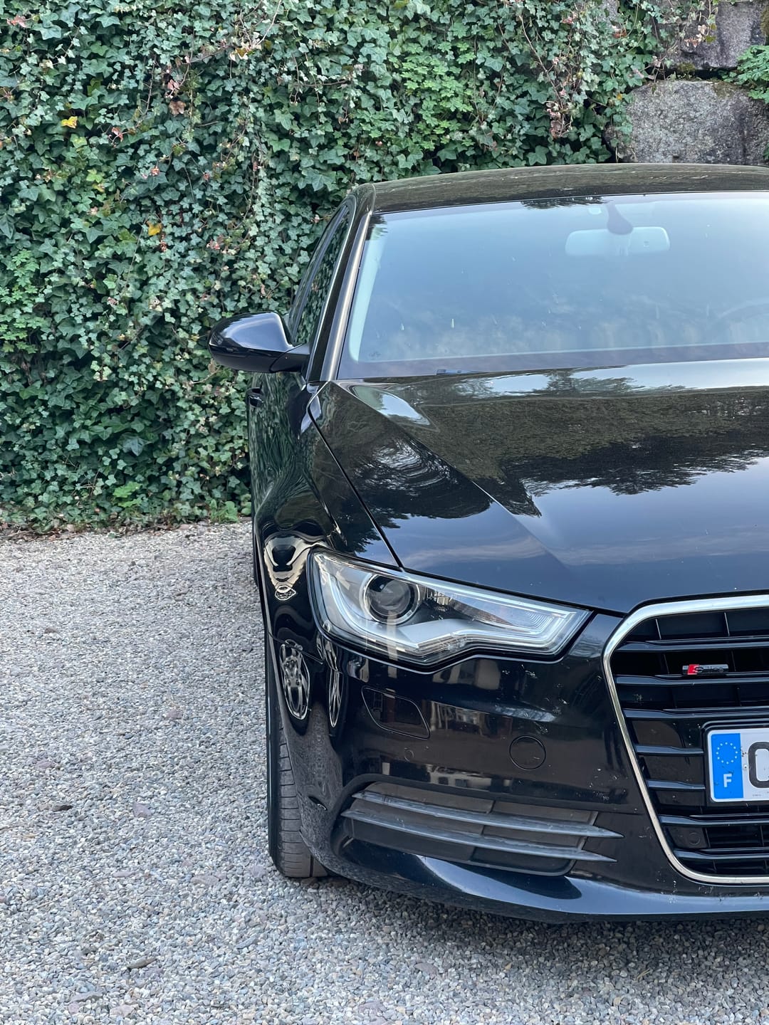 Customer photo review of Logo S-line