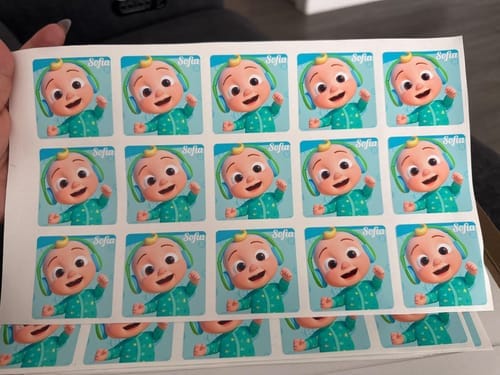 Customer photo review of Vinyl Stickers