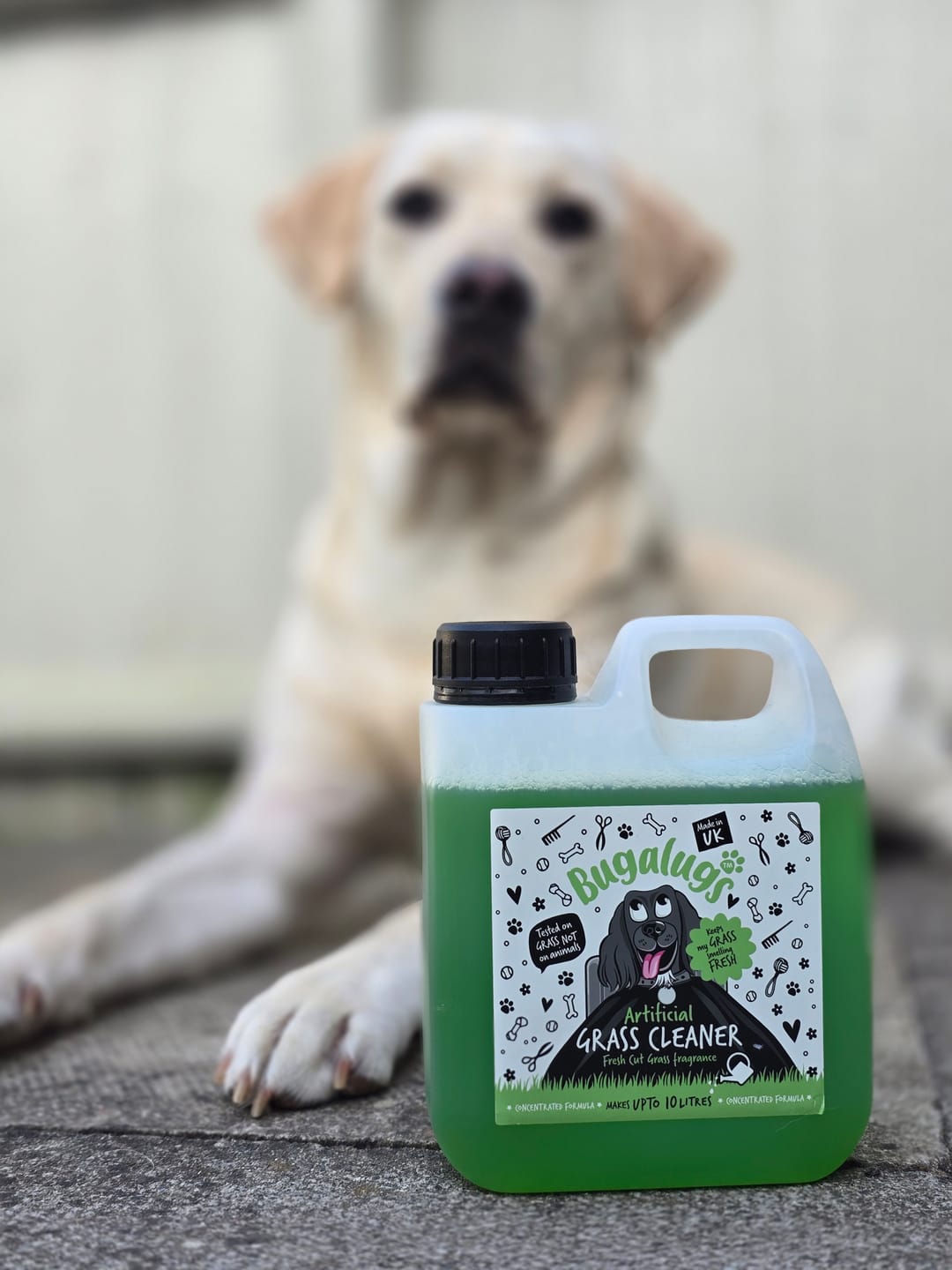 Customer photo review of Artificial Grass Cleaner in Fresh Cut Grass Fragrance