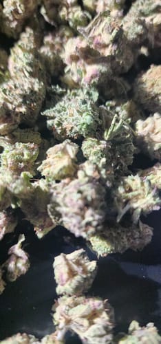 Customer photo review of Cereal Milk THCA Flower