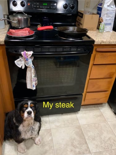 Customer photo review of Buy 5 Prime Boneless Ribeyes get 1 FREE!