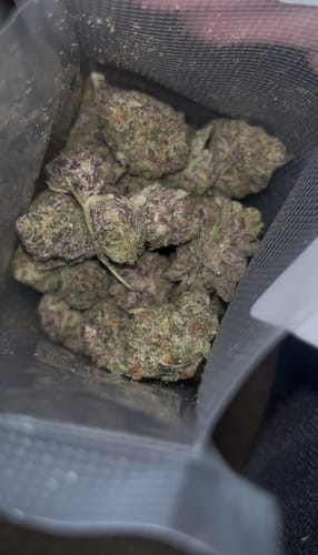Customer photo review of Purple Urkle