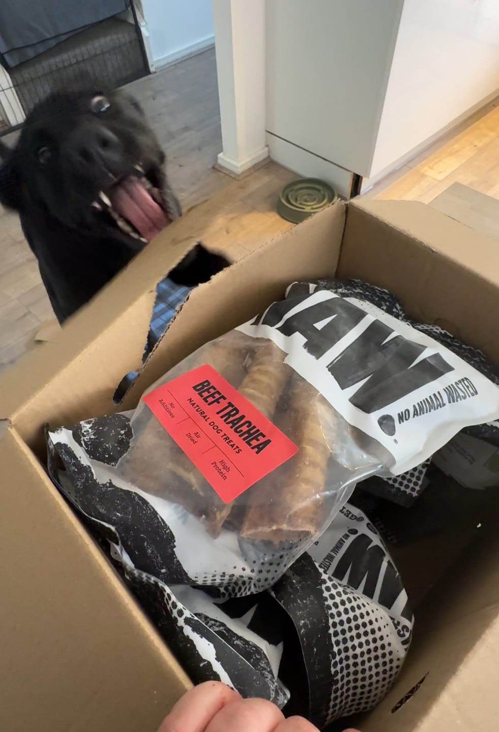 Customer photo review of Beef Trachea (200g)
