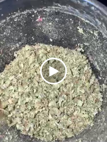 Customer video review of Shipping Protection by Route