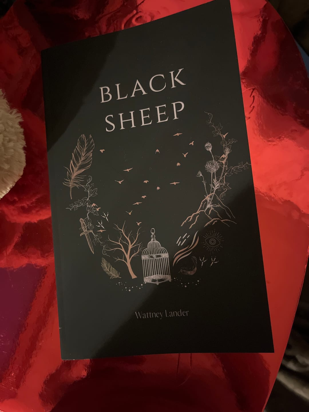 Customer photo review of Black Sheep