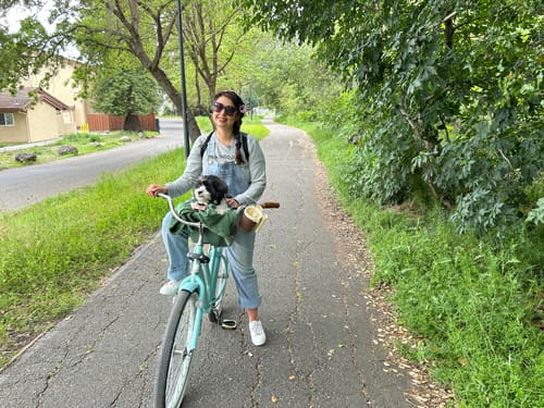 Customer photo review of Kvisp Dog Bike Carrier