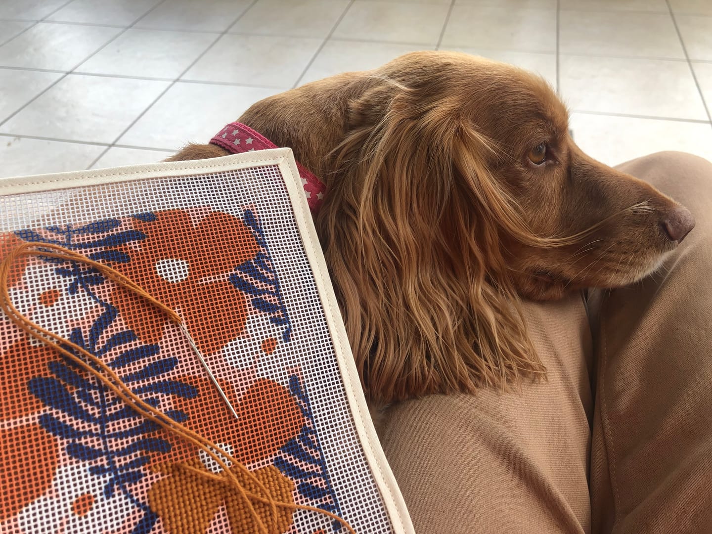 Customer photo review of Royan Sunglasses Case Needlepoint Kit