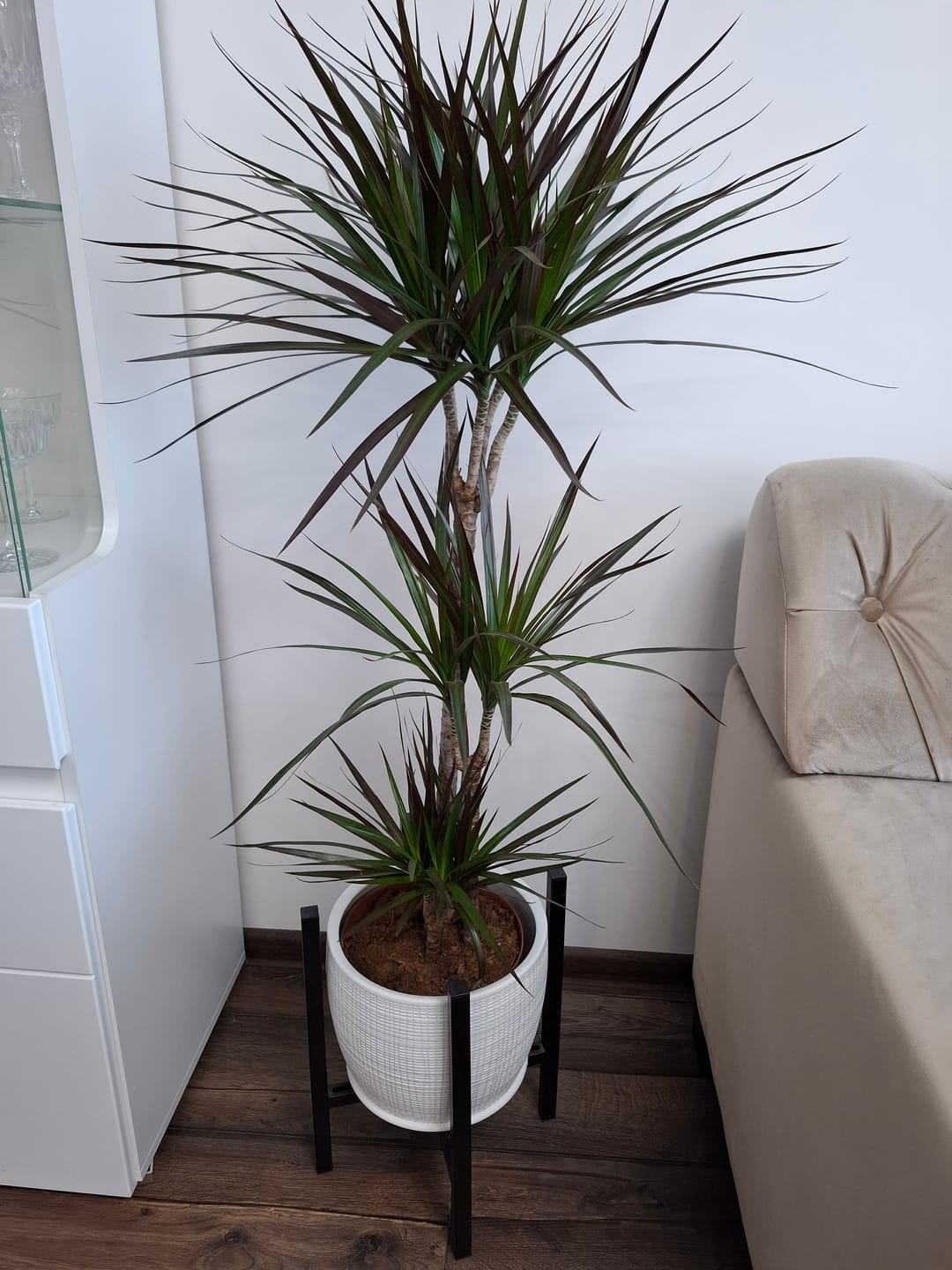 Customer photo review of Gėlių priežiūros bukletas