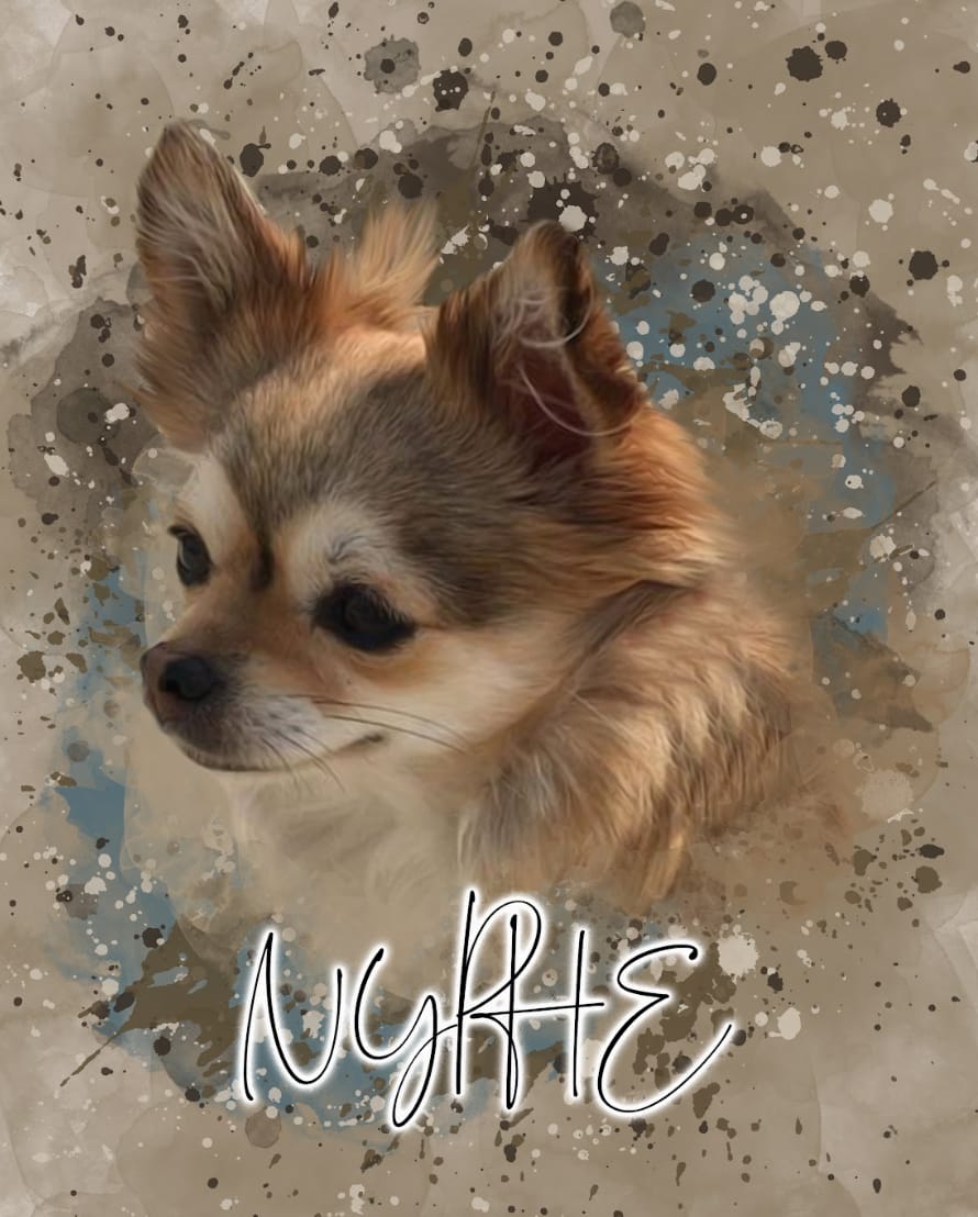 Customer photo review of Portrait Aqua Art