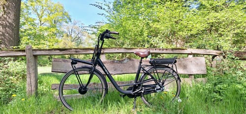 Customer photo review of Dolce N7
