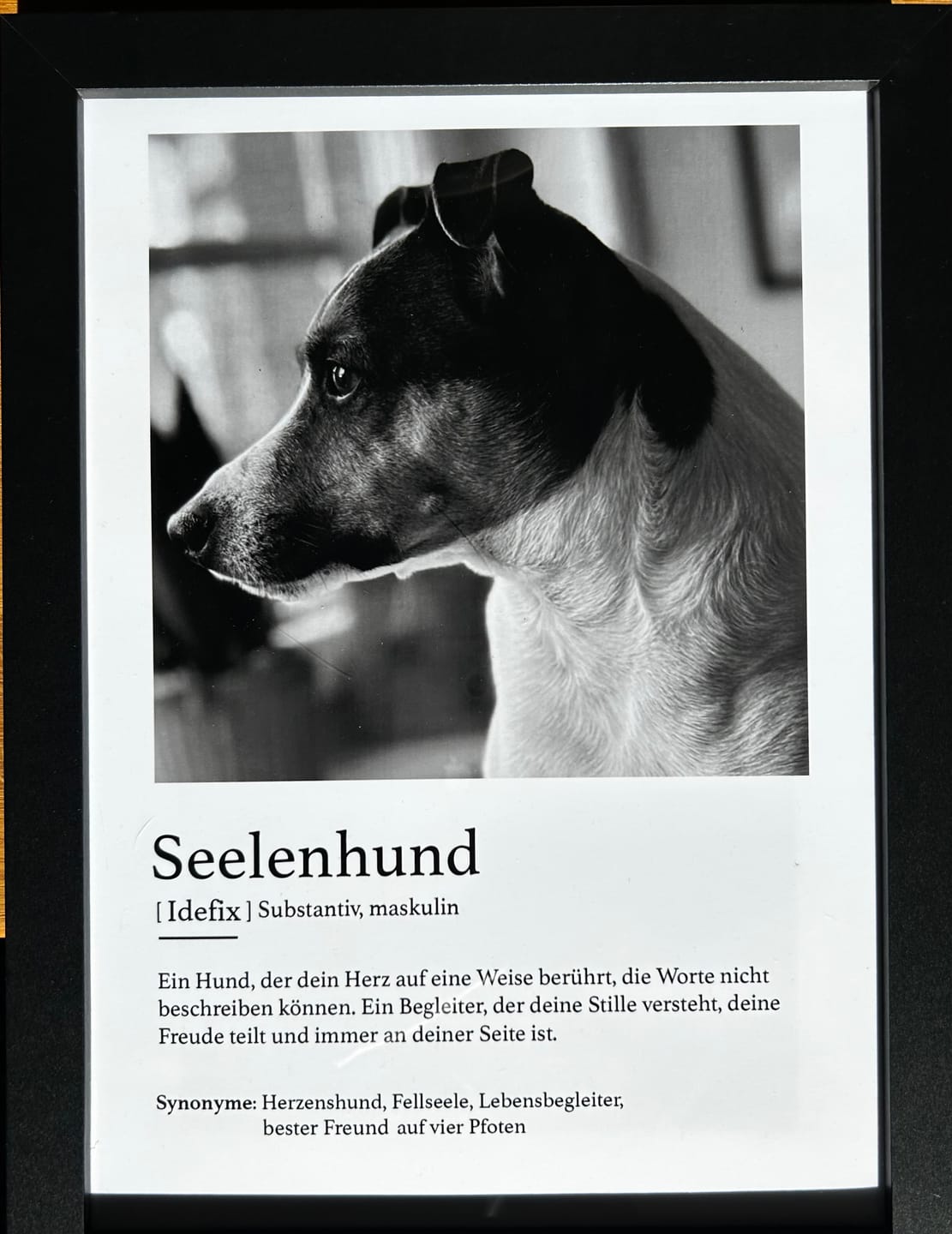Customer photo review of Definition Seelentier - Individuelles Poster