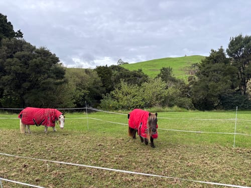 Customer photo review of Zilco Mighty Mini Winter Cover