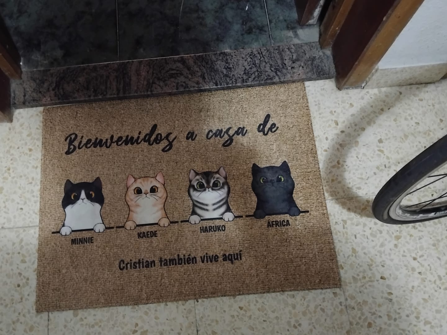 Customer photo review of Bienvenidos a lo de gatos curiosos - Felpudo personalizado