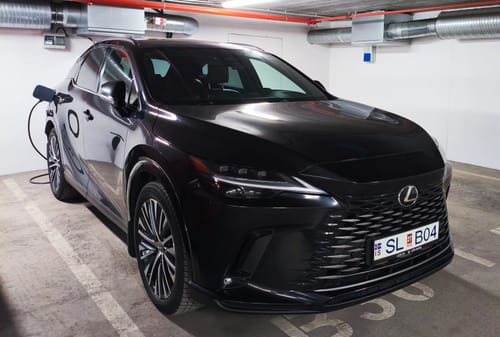 Customer photo review of Limlex® Platinum Car Care Set