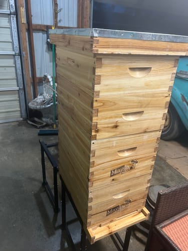Customer photo review of MayBee Hives Beeswax Coated 8 Frame 4 Layer Langstroth Beehive Include 2 Deep Brood Boxes With Black Foundation And 2 Honey Medium Super Boxes with Yellow Plastic Foundation