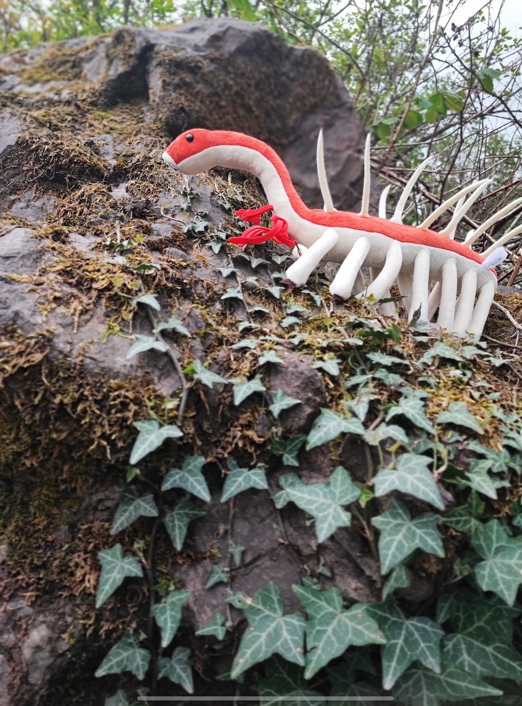 Customer photo review of Hallucigenia Cambrian Animal Soft Stuffed Plush Toy
