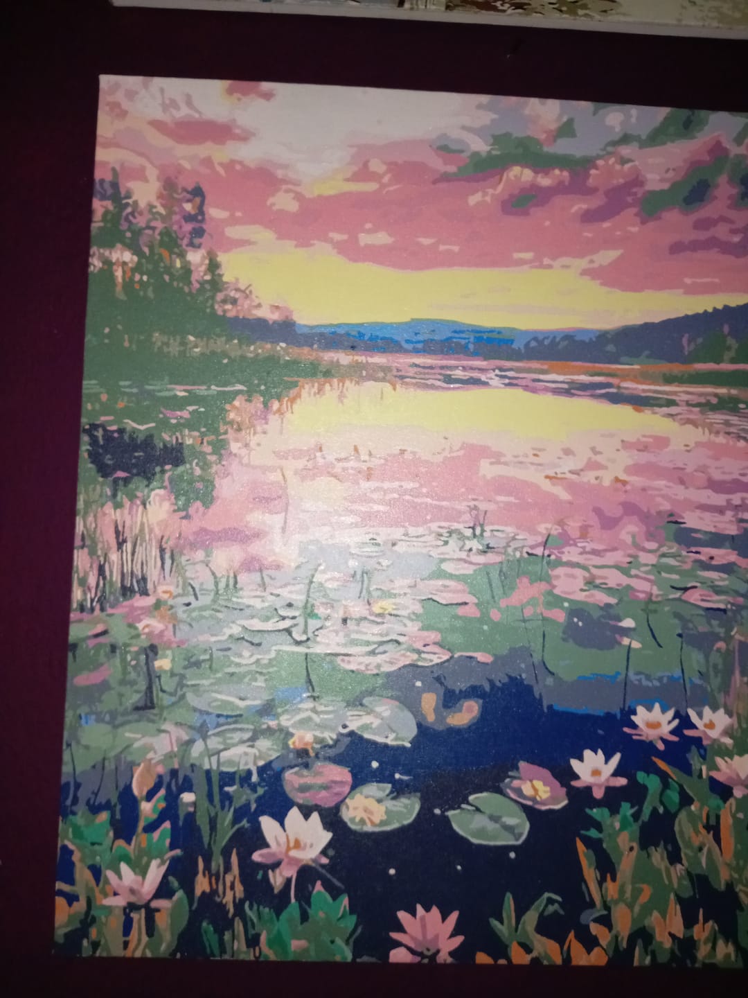 Customer photo review of Lily Sunset