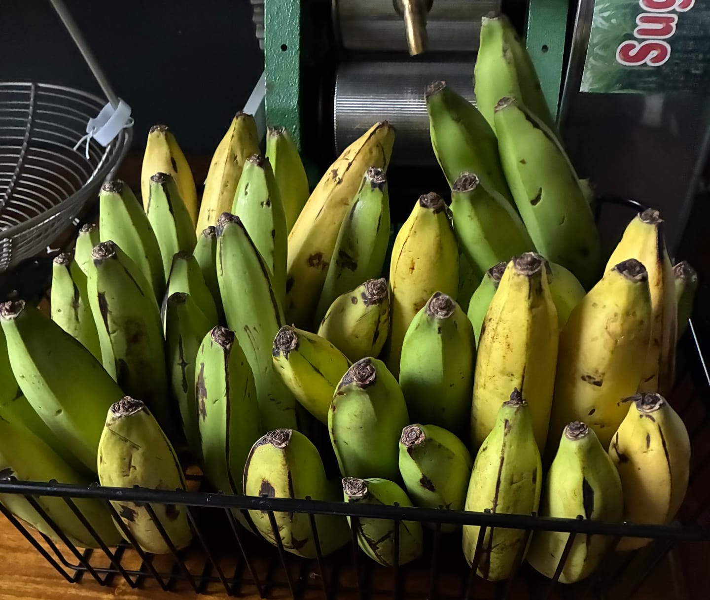 Customer photo review of Gros Michel Banana