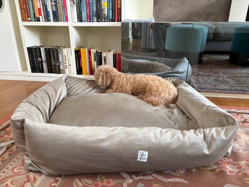 Customer photo review of Cover Divanetto Velluto Beige