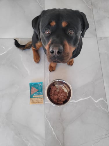 Customer photo review of Bello's Schlemmerlöffel