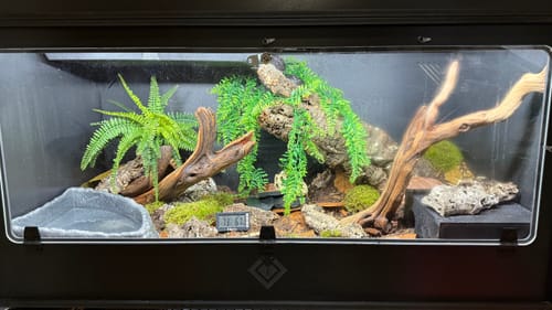 Customer photo review of XT4 BIO24 (48Lx24Dx24H) - STACKABLE