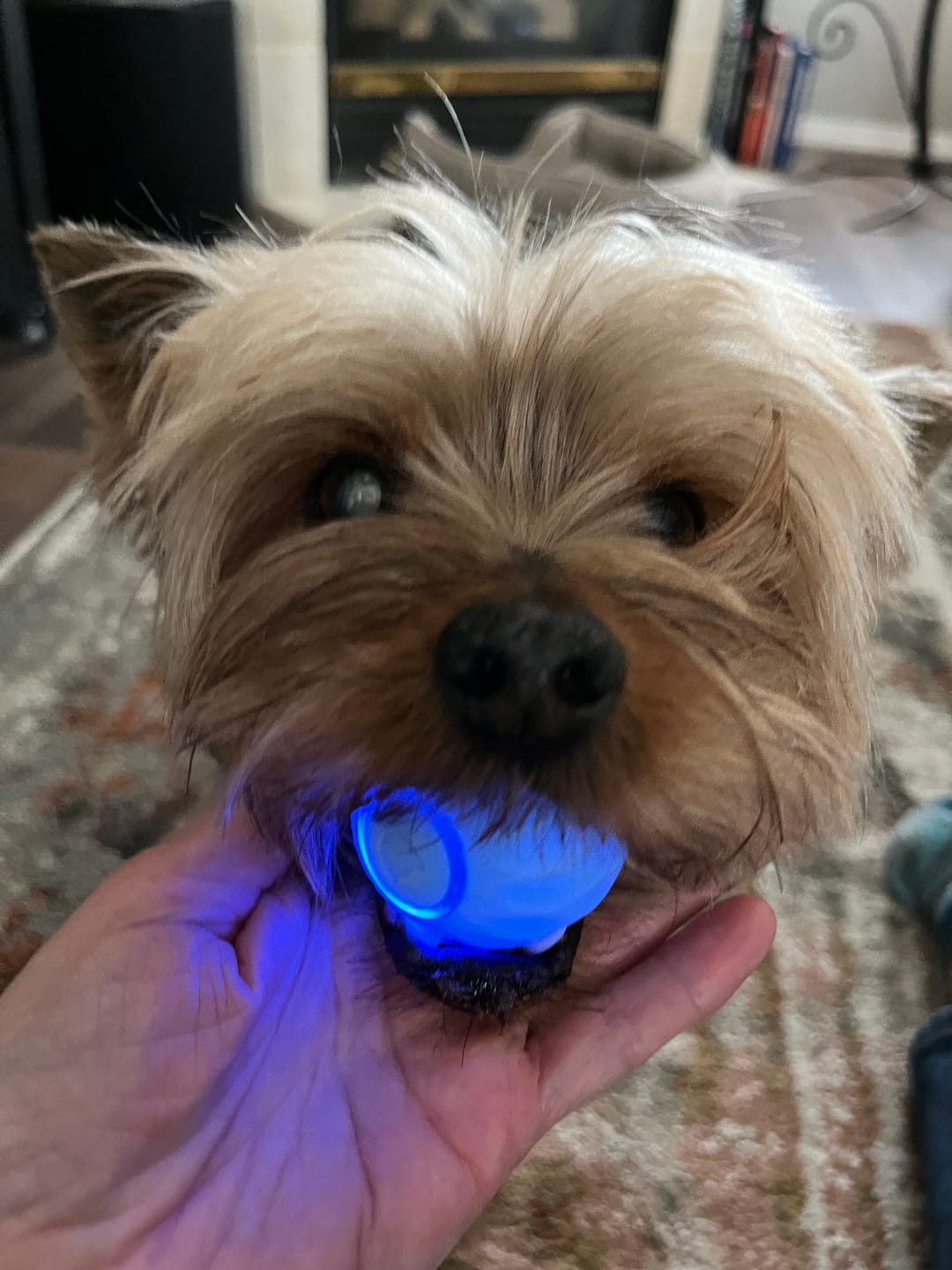Customer photo review of POWER BALL 2.0