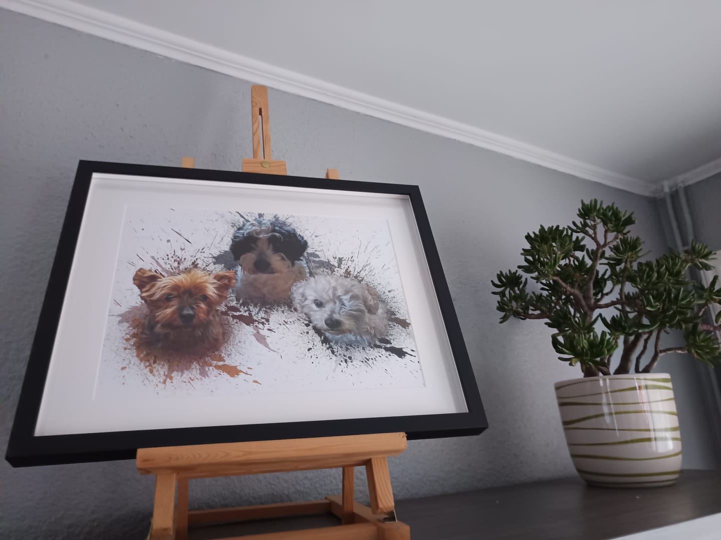 Customer photo review of Portrait Aqua Art