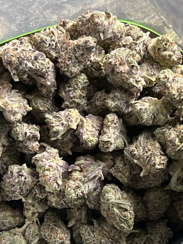 Customer photo review of Black Ice THCA Flower Ounce (28g)