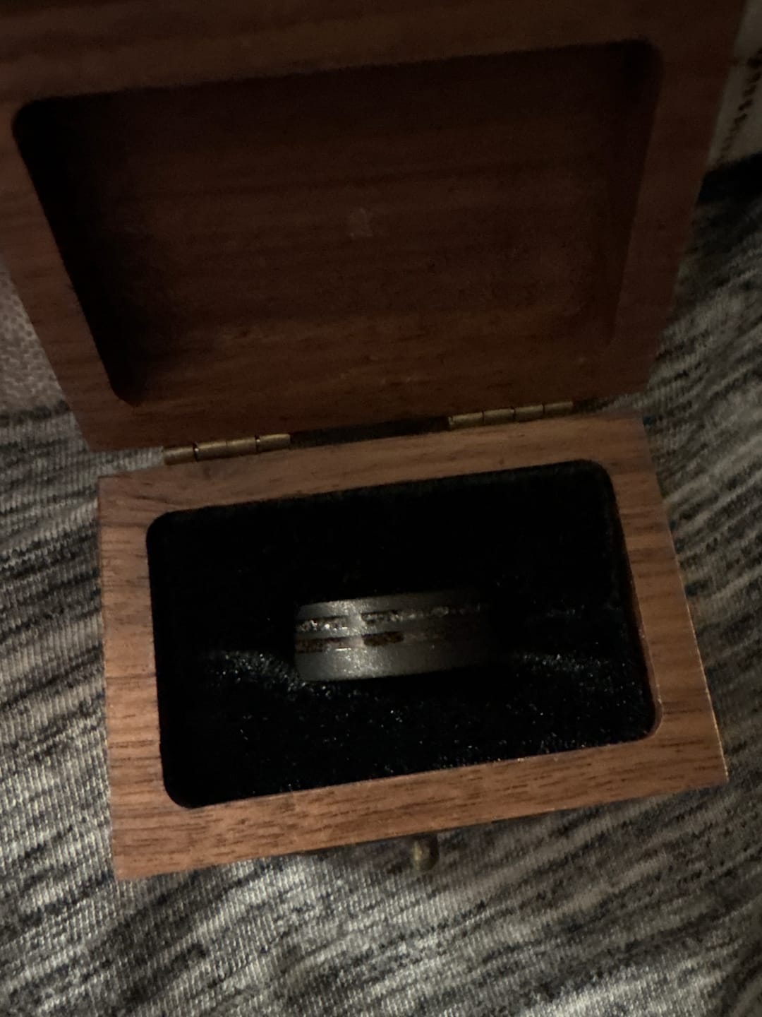 Customer photo review of The Meteorsaur