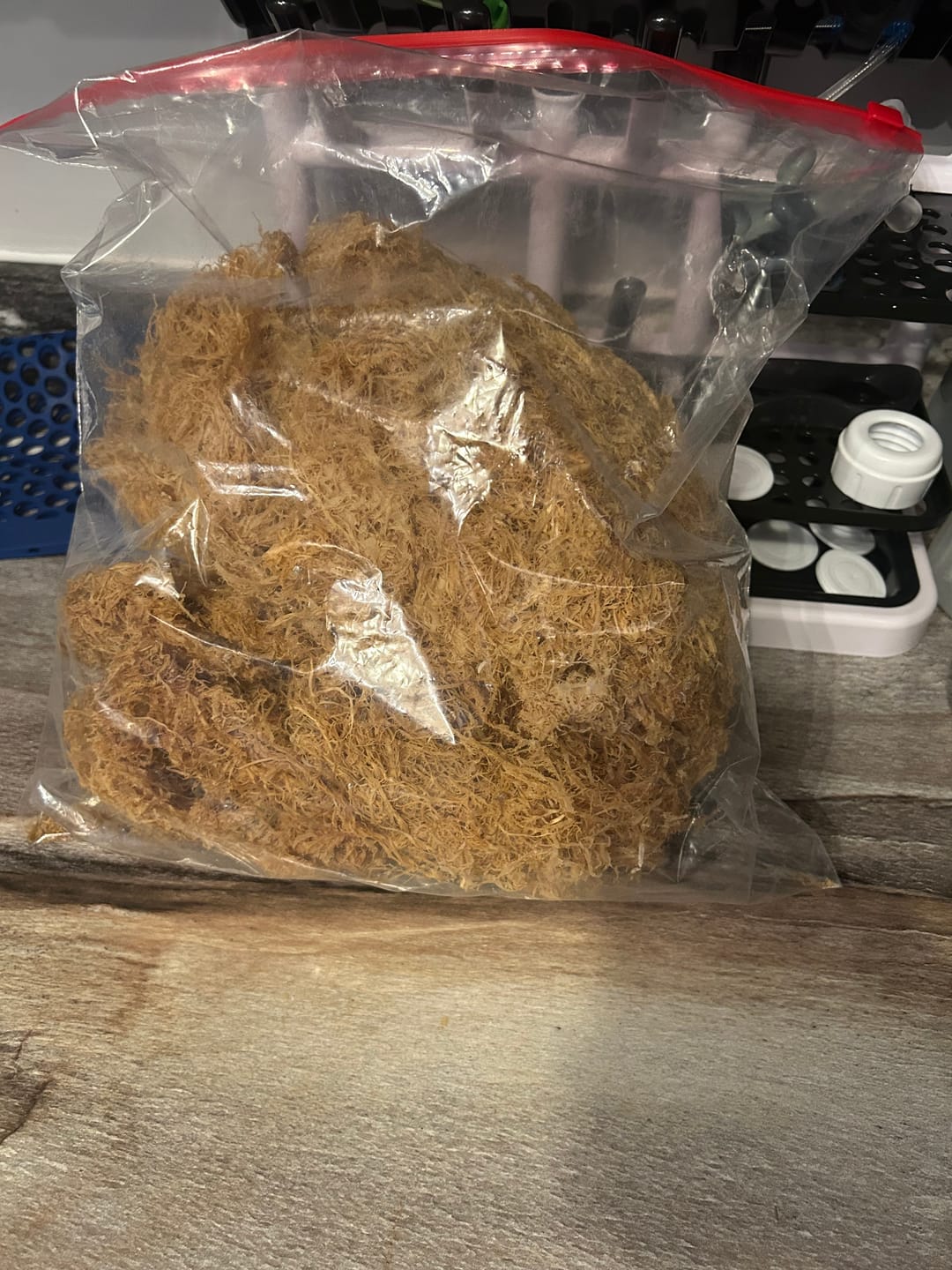 Customer photo review of $25 Sea Moss from the rocks- Gold- Dr Sebi approved