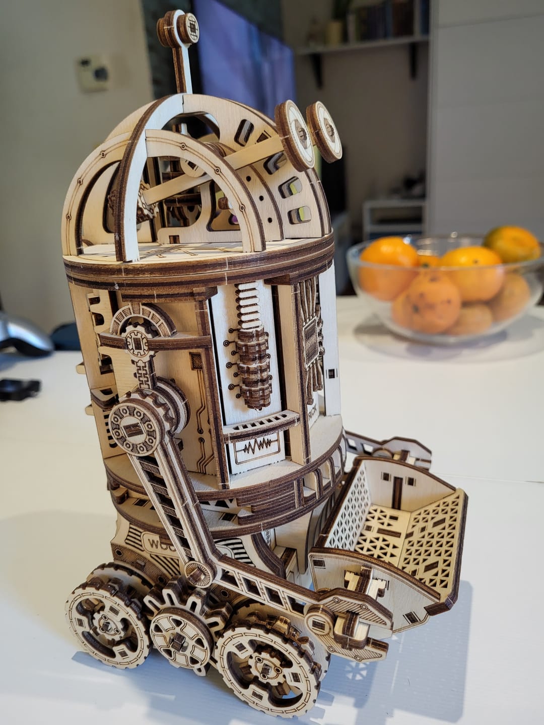 Customer photo review of Space Junk Robot (Mechanical)
