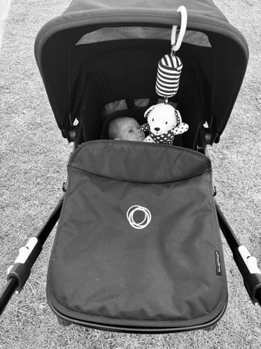 Customer photo review of Hanging Plush Toy - "Brooklyn the Bear"