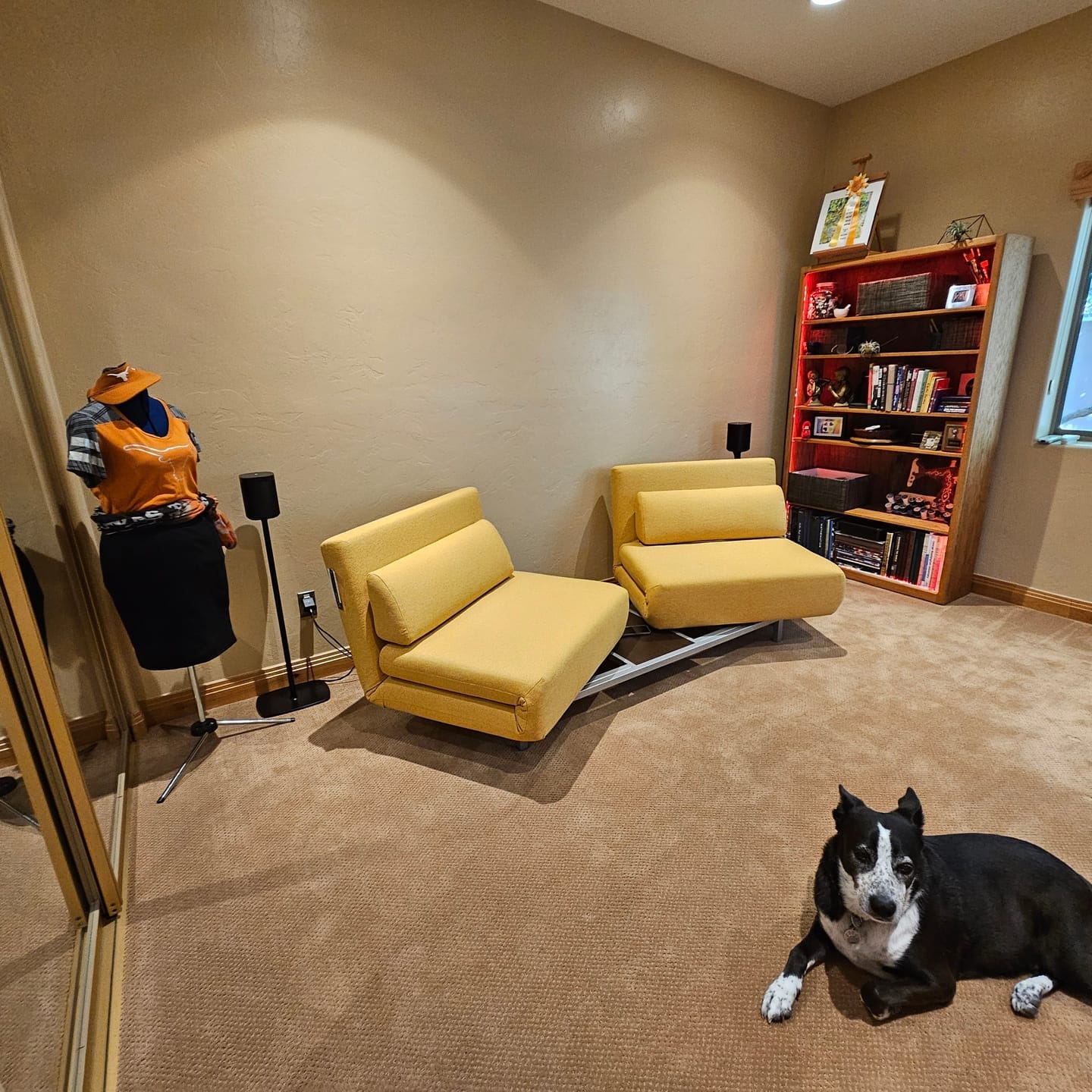 Customer photo review of Glideon 雙座位梳化床