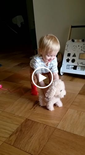 TUMAMA Laufhund Interaktives Plüsch-Spielzeug Leine