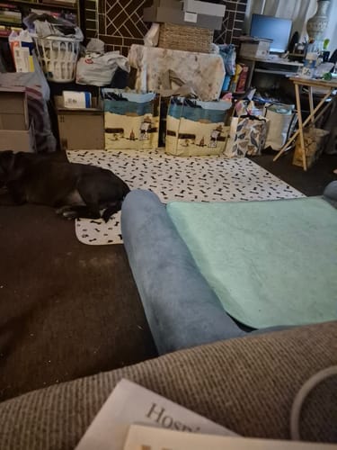 Customer photo review of Potty Buddy - Dry Guard™ Potty Pads