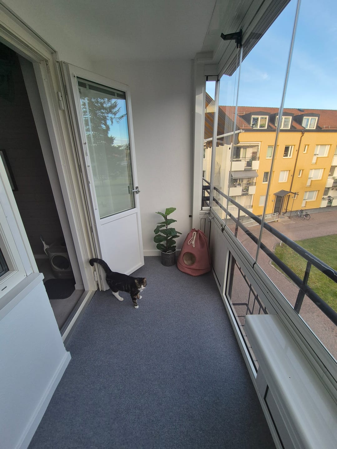 Customer photo review of Dry Step™ Termomatta, skär efter egna mått (ny)