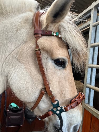Customer photo review of El Mar browband